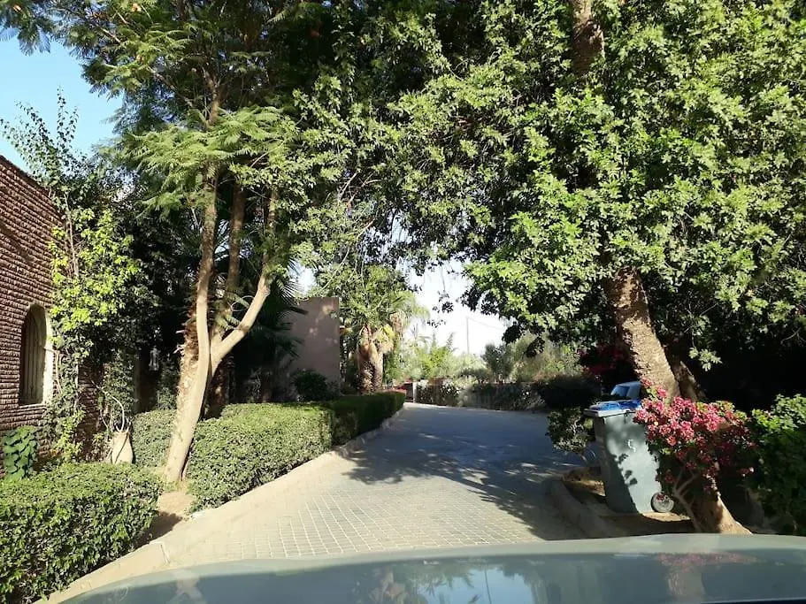 וילה מרקש Lila Fantastic House For Up To 8 People In Palmeraie